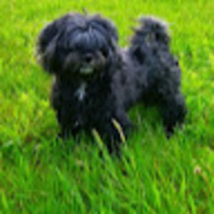 Meet your Posher, Barbara